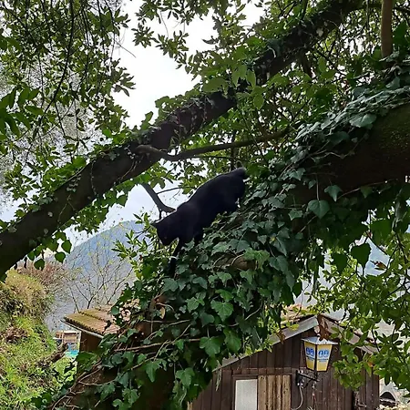 La Fermenteria * San Colombano Certenoli